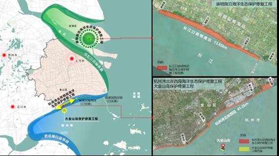 2025年上海市海洋生態(tài)保護(hù)修復(fù)工程項(xiàng)目上午開(kāi)工:生態(tài)工程